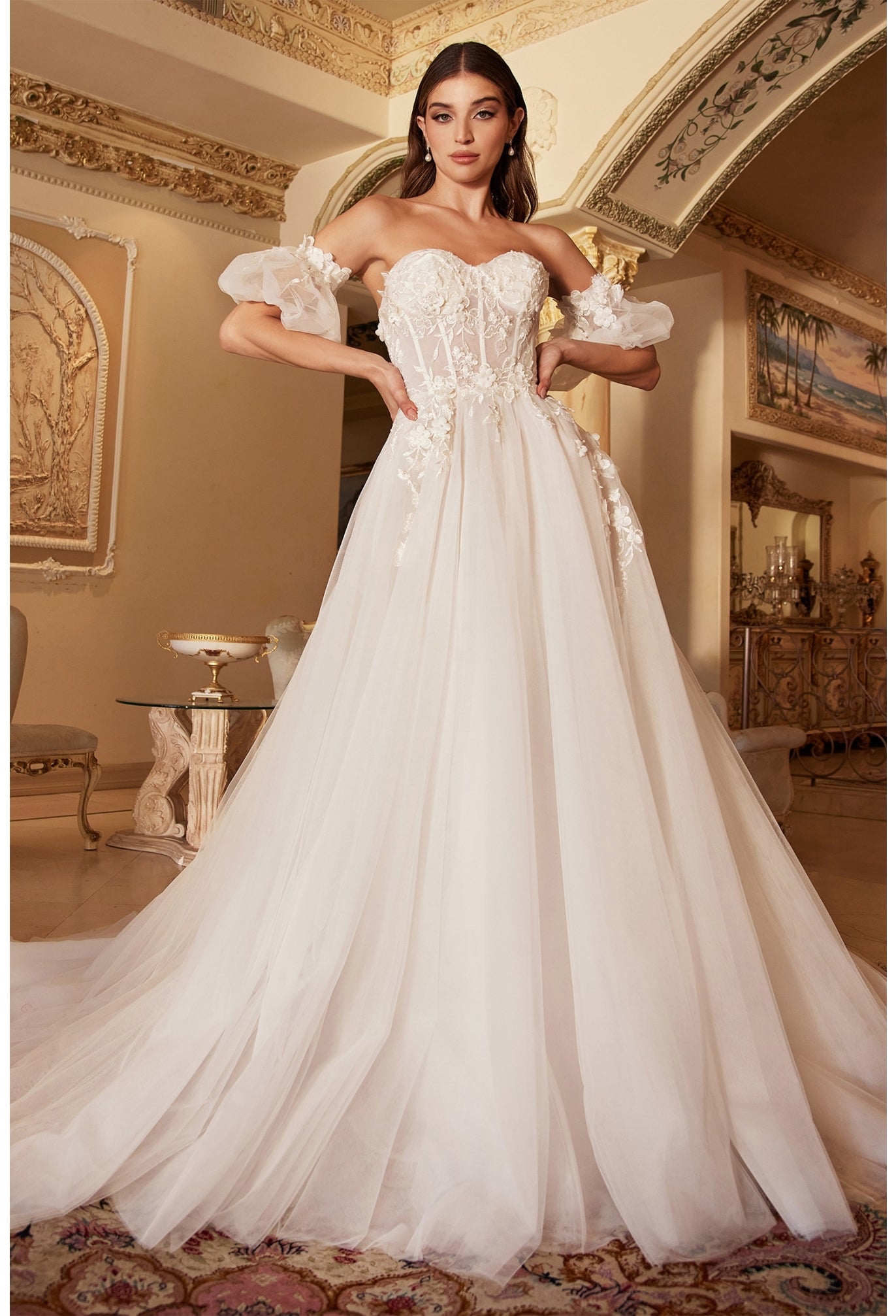 CD TY11 - A-Line Wedding Gown with Sheer Lace Embellished V-Neck Bodic –  Diggz Formals