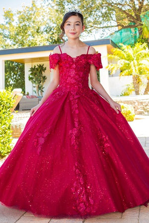 Cinderella shop couture dresses