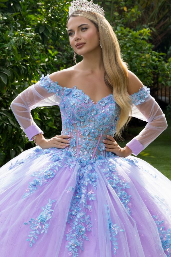 3D Floral Applique Sweetheart Neckline Quinceanera Dress by GLS by Gloria - GL3503