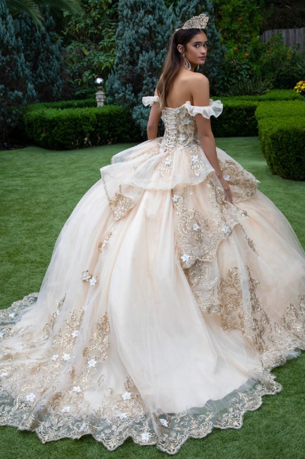 Embroidery Glitter Sweetheart Quinceanera Dress by GLS by Gloria - GL3528