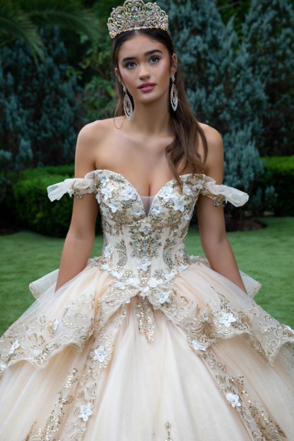 Embroidery Glitter Sweetheart Quinceanera Dress by GLS by Gloria - GL3528