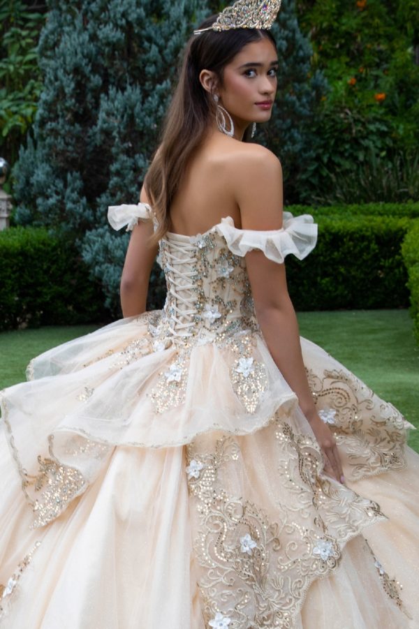 Embroidery Glitter Sweetheart Quinceanera Dress by GLS by Gloria - GL3528