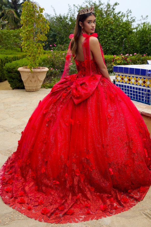 3D Flower Applique Sweetheart Quinceanera Dress by GLS by Gloria - GL3529