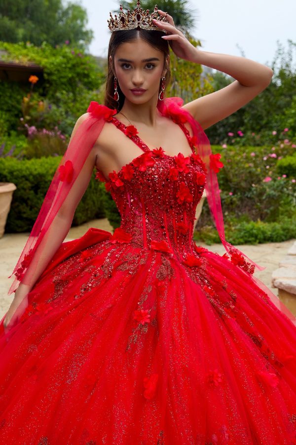 3D Flower Applique Sweetheart Quinceanera Dress by GLS by Gloria - GL3529