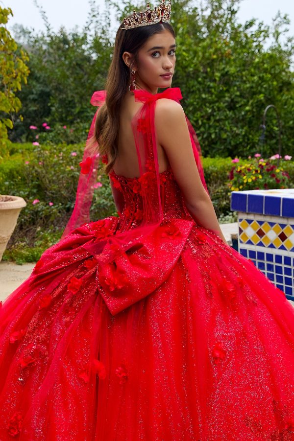 3D Flower Applique Sweetheart Quinceanera Dress by GLS by Gloria - GL3529
