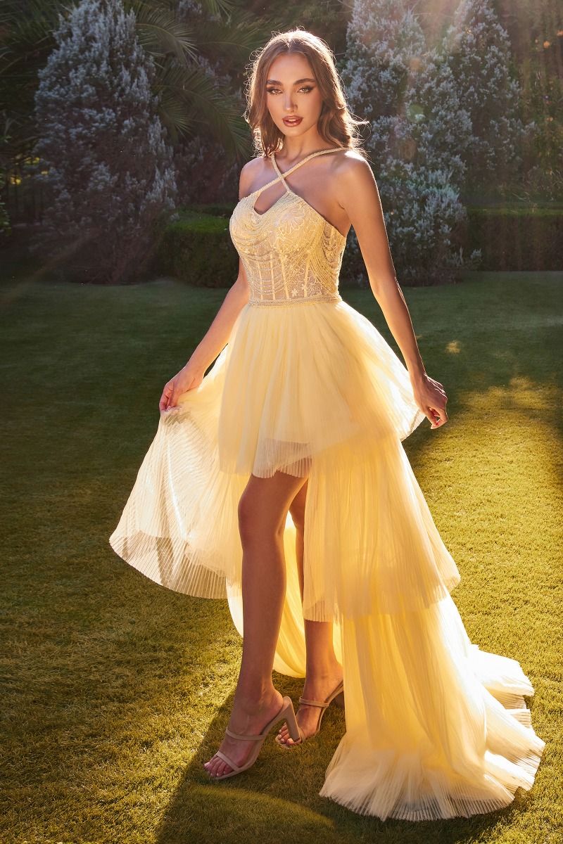 Evening Gown Beaded Halter Neck Dress Andrea Leo A1239 High Low Beaded Formal Prom Dress Light Yellow Evening Gown Beaded Halter Neck Dress Andrea Leo A1239 High Low Beaded Formal Prom Dress Light Yellow