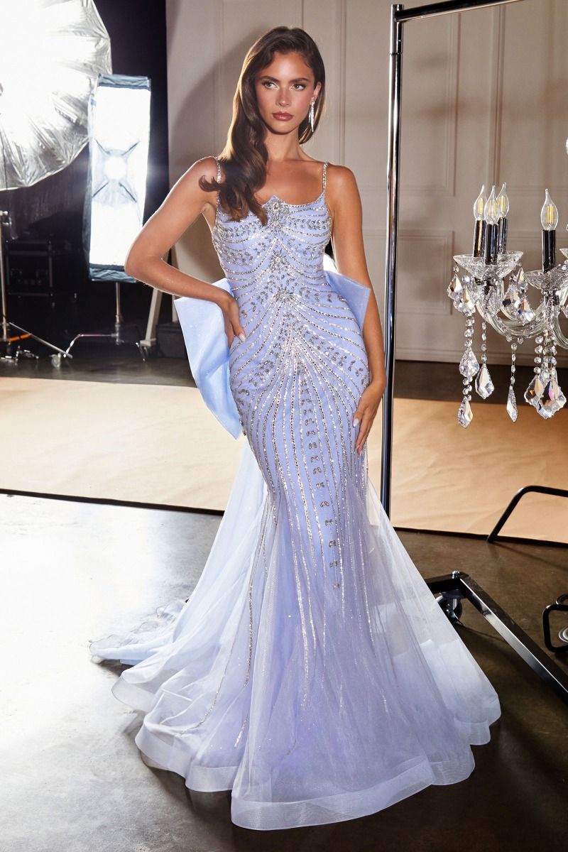 Beaded Scoop Neckline Gown By Ladivine CB167 - Women Evening Formal Gown - Special Occasion