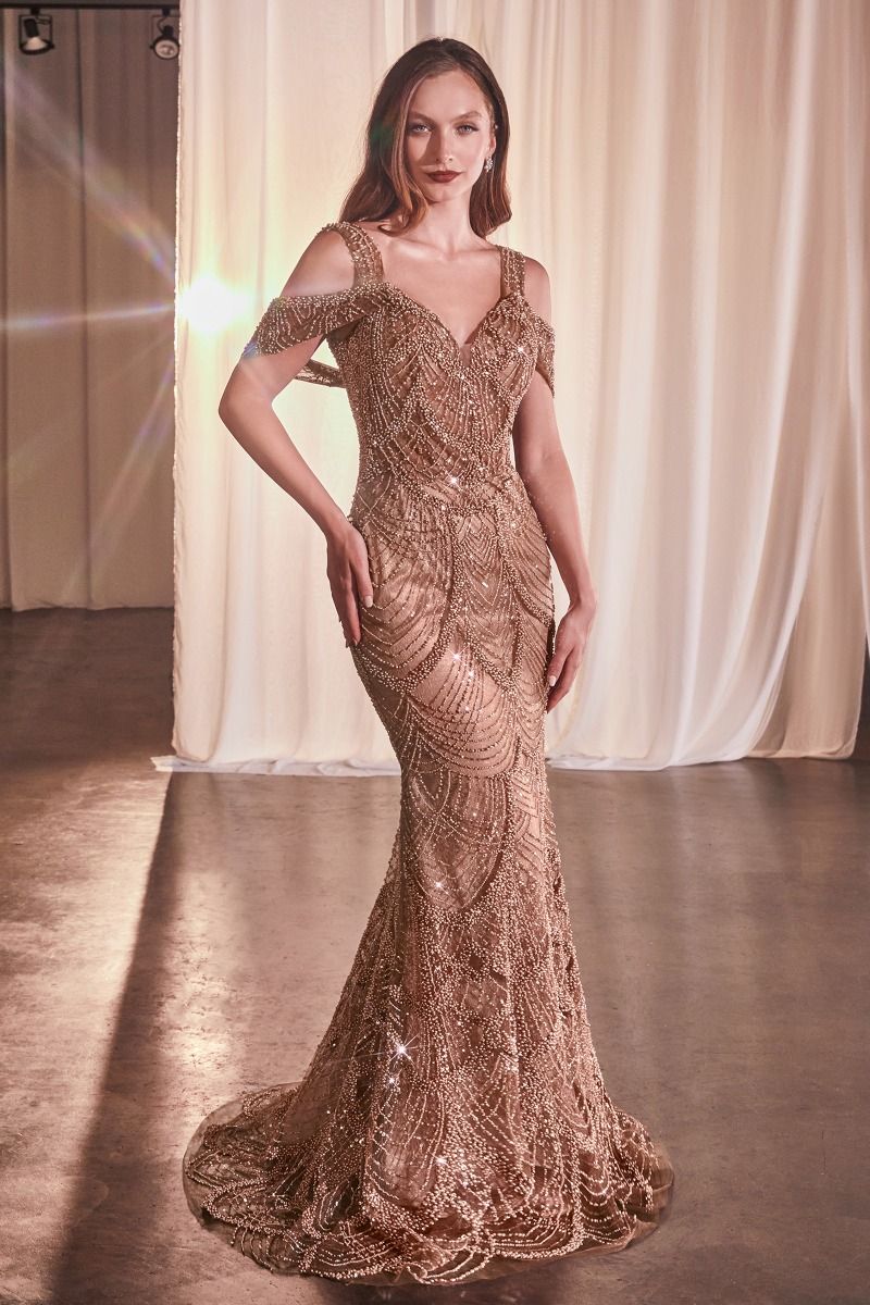 Embellished V-Neckline Sheath Gown by Cinderella Divine CC4020 - Speci Ariststyles Embellished V-Neckline Sheath Gown by Cinderella Divine CC4020 - Speci Ariststyles