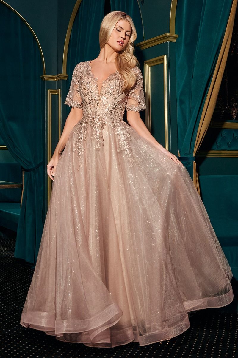Lace Applique V-Neckline A-Line Gown By Ladivine CD726 - Women Evening Formal Gown - Special Occasion/Curves