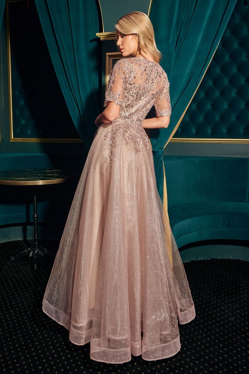 Lace Applique V-Neckline A-Line Gown By Ladivine CD726 - Women Evening Formal Gown - Special Occasion/Curves