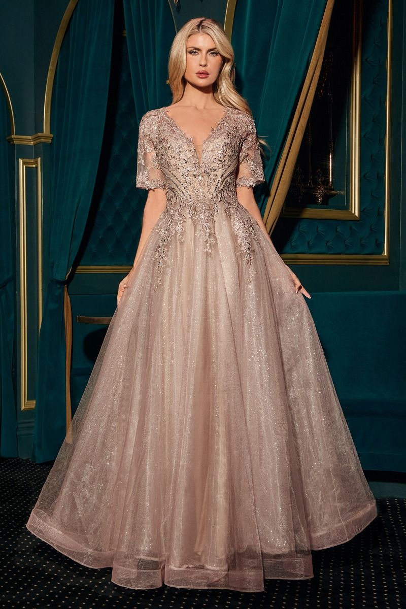 Lace Applique V-Neckline A-Line Gown By Ladivine CD726 - Women Evening Formal Gown - Special Occasion/Curves