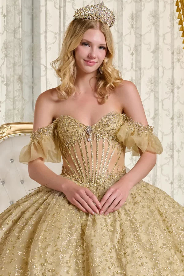 Embroidery Sequin V-Neckline Quinceanera Dress by Elizabeth K - GL3632