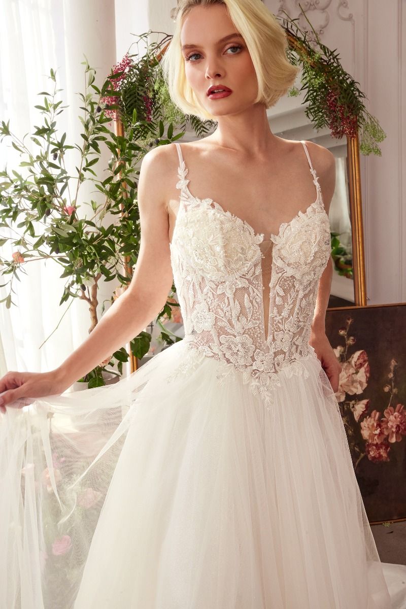 Lace V-Neckline A-Line Bridal Gown by Andrea and Leo WL029