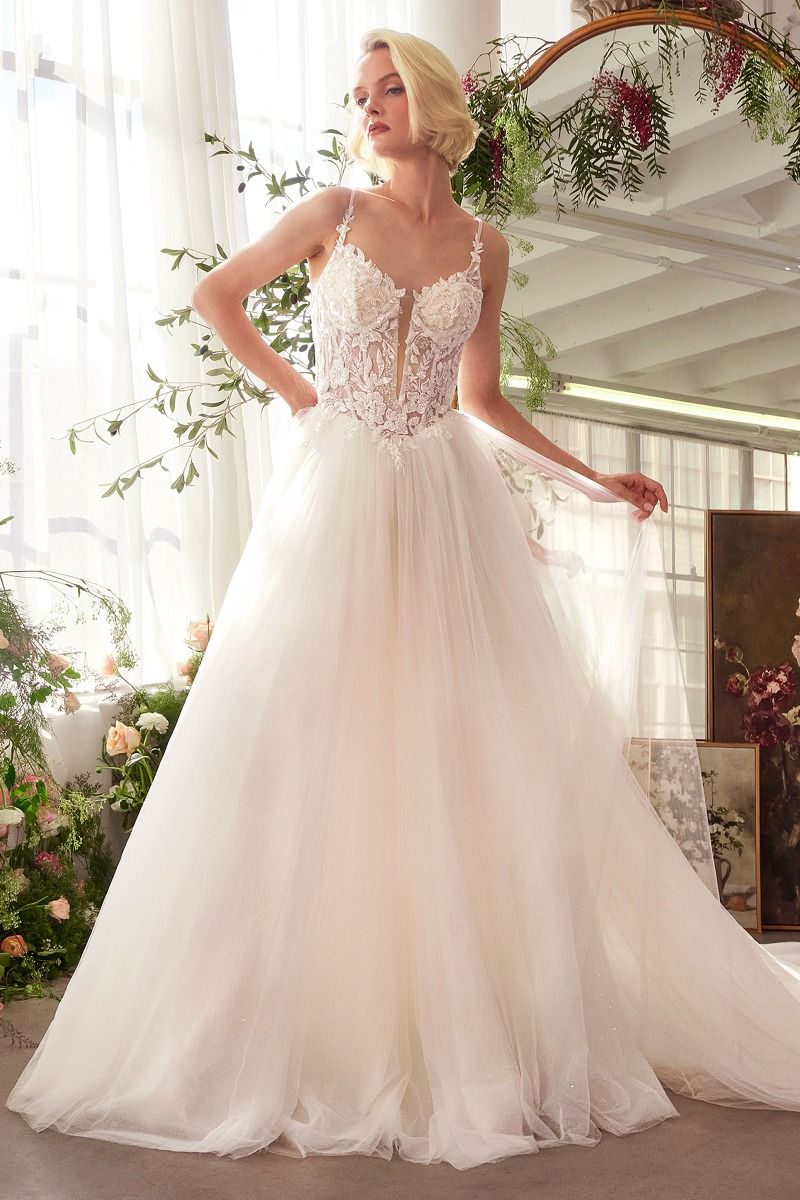Lace V-Neckline A-Line Bridal Gown by Andrea and Leo WL029