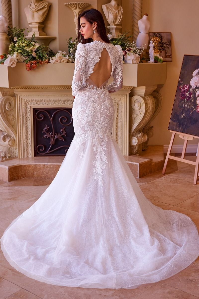 Long Sleeves V-Neckline Mermaid Bridal Gown by Andrea and Leo WL036