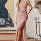 Blush Feather Sleeve Off The Shoulder Gown CD0207 - Women Evening Formal Gown - Special Occasion