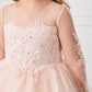 Blush_4 Girl Dress with Stunning Sleeves and Bodice Dress - AS5780