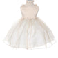 Champagne Baby Rosebud Organza Party Dress-AS193