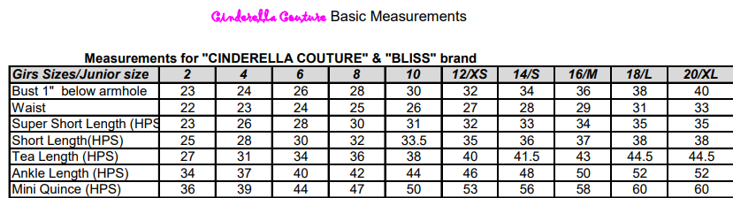 Mauve Lace Applique Tulle A-Line Gown by Cinderella Couture USA AS8031J-MAU - Special Occasion/Curves