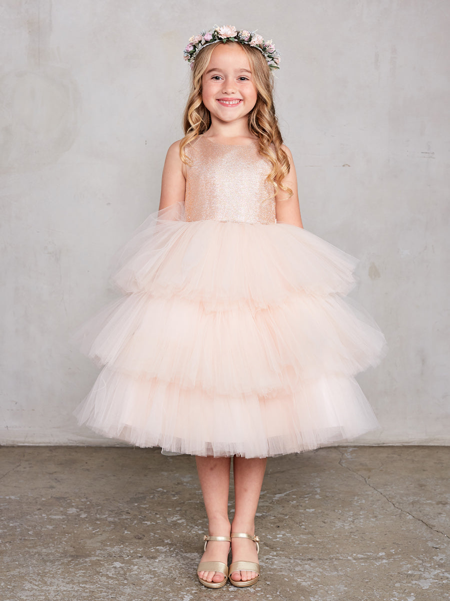 metallic tulle dress Metallic Nailhead Lace And Tulle Gown