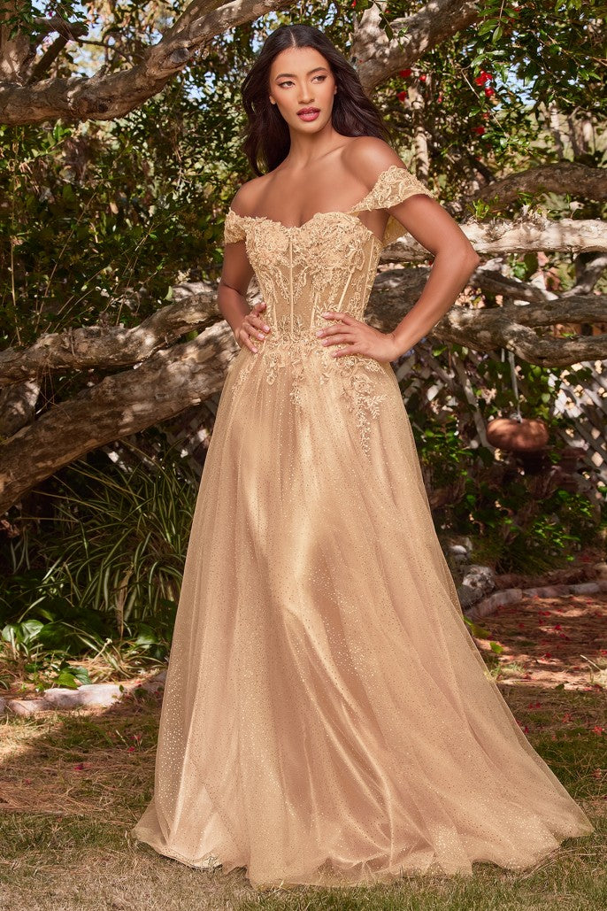 Off the Shoulder Lace A-line Corset Slit Gown By Ladivine CD0198 - Women Evening Formal Gown - Special Occasion