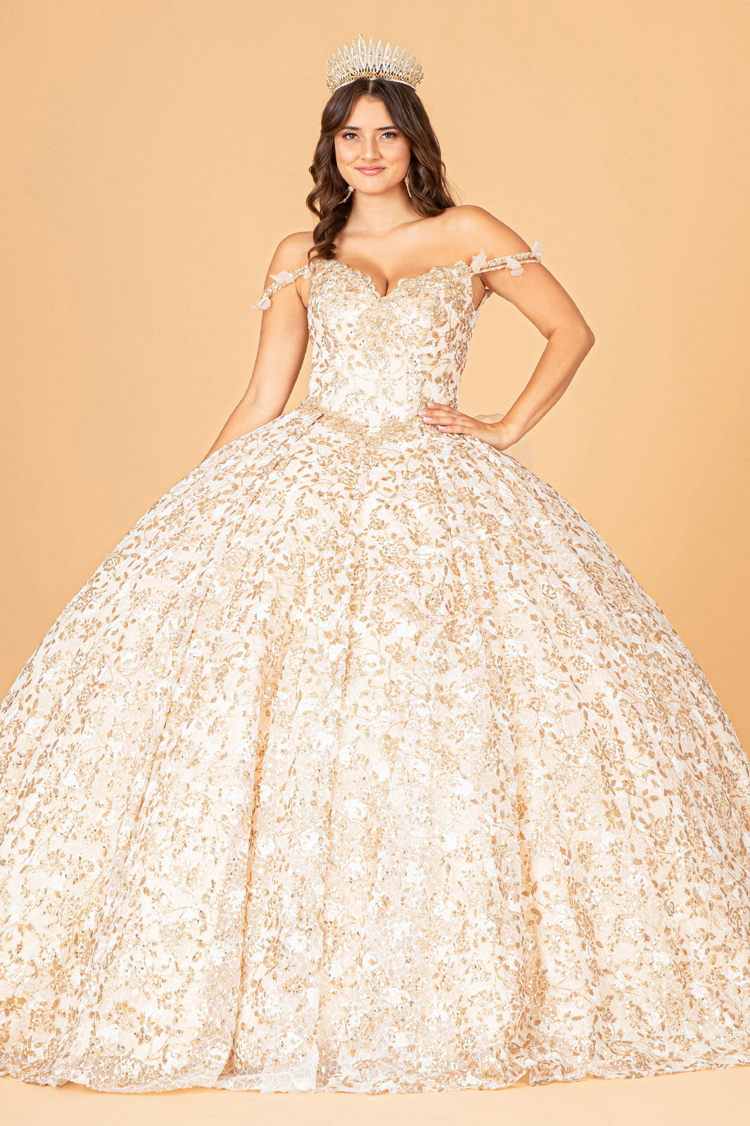 Elizabeth K - GL3072 - Mesh Sweetheart Neck Quinceanera Dress