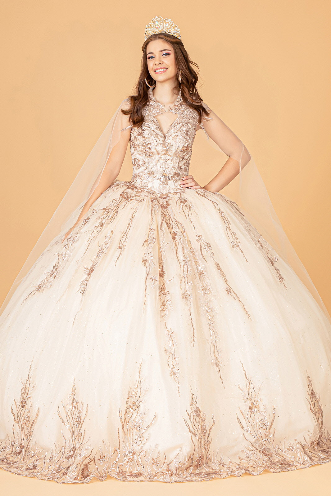 Elizabeth K - GL3076 - Embellished V-Neck Quinceanera Dress