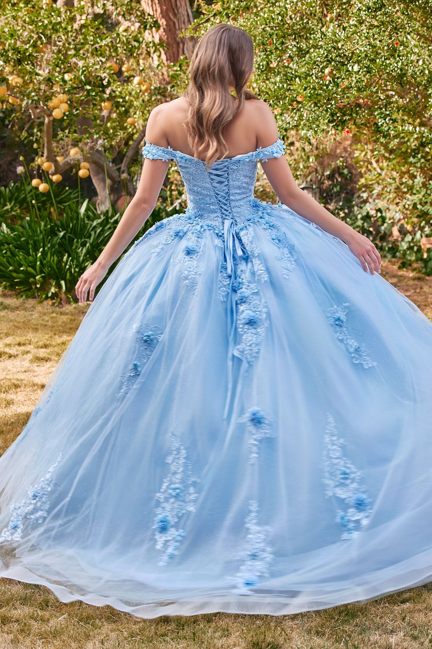 Off The Shoulder Floral Quinceanera Ball Gown By Ladivine 15702