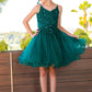 Embroidery Sparkly Tulle A-Line Girl Party Dress by Cinderella Couture USA AS5112