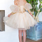 Lace Glitter Puff Sleeve Girl Party Dress by Cinderella Couture USA AS5113