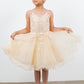 Embroidered Spaghetti Tulle Girl Party Dress by Cinderella Couture USA AS5125