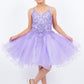 Embroidered Spaghetti Tulle Girl Party Dress by Cinderella Couture USA AS5125