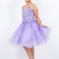 Embroidered Spaghetti Tulle Girl Party Dress by Cinderella Couture USA AS5125