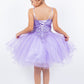 Embroidered Spaghetti Tulle Girl Party Dress by Cinderella Couture USA AS5125