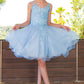 Embroidered Spaghetti Tulle Girl Party Dress by Cinderella Couture USA AS5125