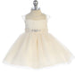 Baby Girl Lace Bodice Illusion Beaded Neckline Dress by TIPTOP KIDS - AS5712S
