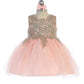 Baby Girl Lace Applique Bodice Pageant Dress by TIPTOP KIDS - AS5771S