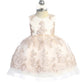 Baby Girl Tulle Metallic Lace Embroidery Dress by TIPTOP KIDS - AS5816S