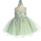 Baby Dress with Beautiful Illusion Neckline Bodice by TIPTOP KIDS - AS7038S