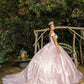 Off Shoulder Floral Applique Quinceanera Dress by Cinderella Couture USA AS8060J