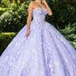 Strapless Sweetheart Neckline Quinceanera Dress by Cinderella Couture USA AS8071J