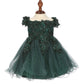 Off the Shoulder Floral Lace Tulle Baby Party Dress by Cinderella Couture USA AS9085B