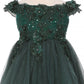 Off the Shoulder Floral Lace Tulle Baby Party Dress by Cinderella Couture USA AS9085B