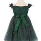 Off the Shoulder Floral Lace Tulle Baby Party Dress by Cinderella Couture USA AS9085B