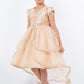 Sequin Cap Sleeve Flower Girl Dress by Cinderella Couture USA AS9123