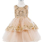 Embellished Sleeveless A-Line Girl Party Dress by Cinderella Couture USA AS9132