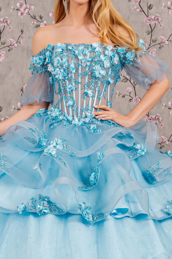 3-D Flower Applique Straight Across Neckline Quinceanera Dress by Elizabeth K - GL3180