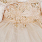 Teddy Bear with Beaded 3D Appliques Girl Communion Dress by Cinderella Couture USA ASBR-8111