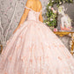 Butterfly Sequin Sweetheart Neckline Quinceanera Dress by Elizabeth K - GL3183