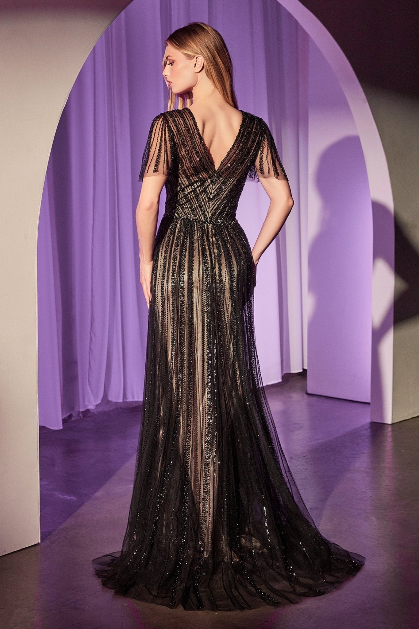 Butterfly Sleeve V-Neckline Gown By Ladivine CD0241 - Women Evening Formal Gown